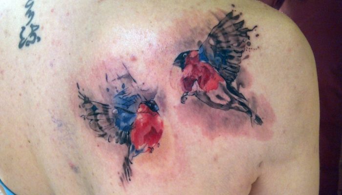 Почему вокруг татуировки сыпь