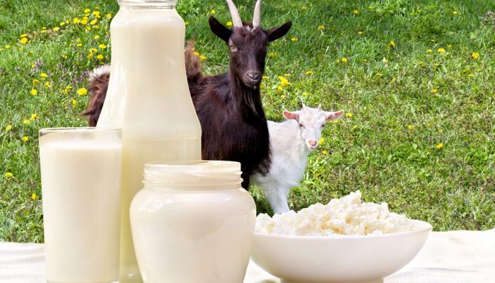 Козье молоко для детей при атопическом дерматите